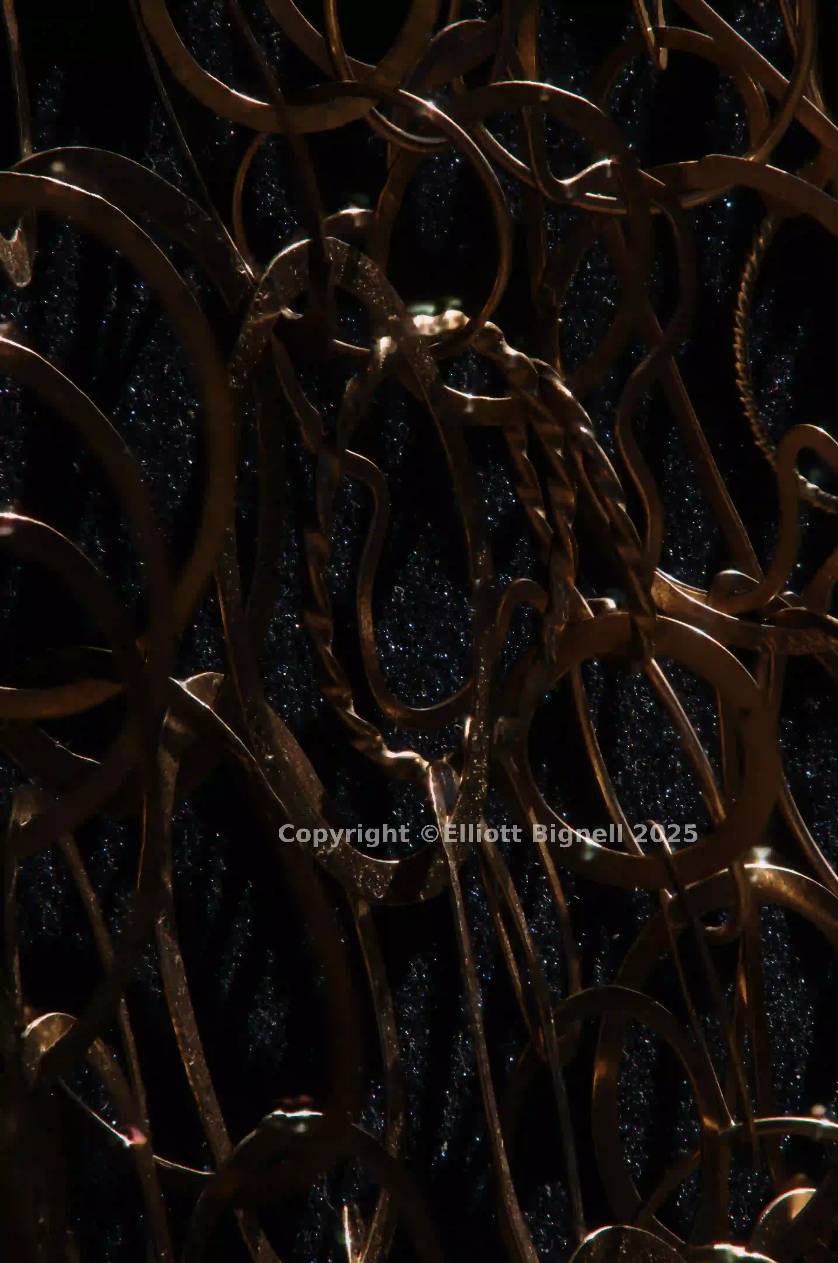 2013-11-23-11.29.29 ZS DMap.jpg